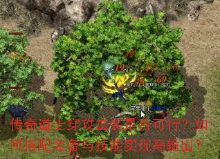 传奇道士穿攻击装是否可行?如何搭配装备与技能实现高输出? 传奇道士穿攻击装是否可行?如何搭配装备与技能实现高输出?