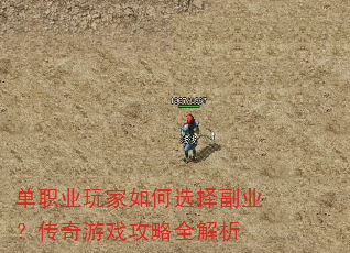 单职业玩家如何选择副业?传奇游戏攻略全解析 单职业玩家如何选择副业?传奇游戏攻略全解析