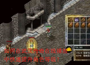 如何在武汉传奇在线播放中快速提升角色等级? 如何在武汉传奇在线播放中快速提升角色等级?
